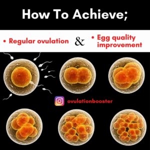How to achieve regular ovulation and boost egg quality